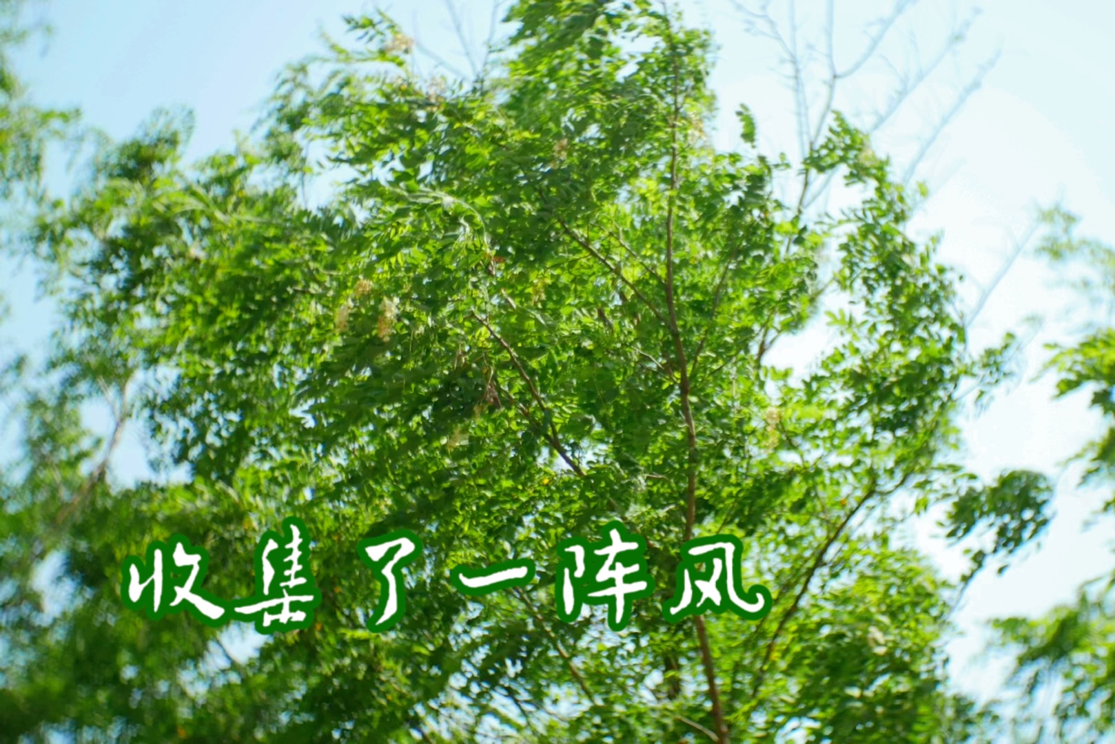 下午14:36的时候,有一阵风吹过