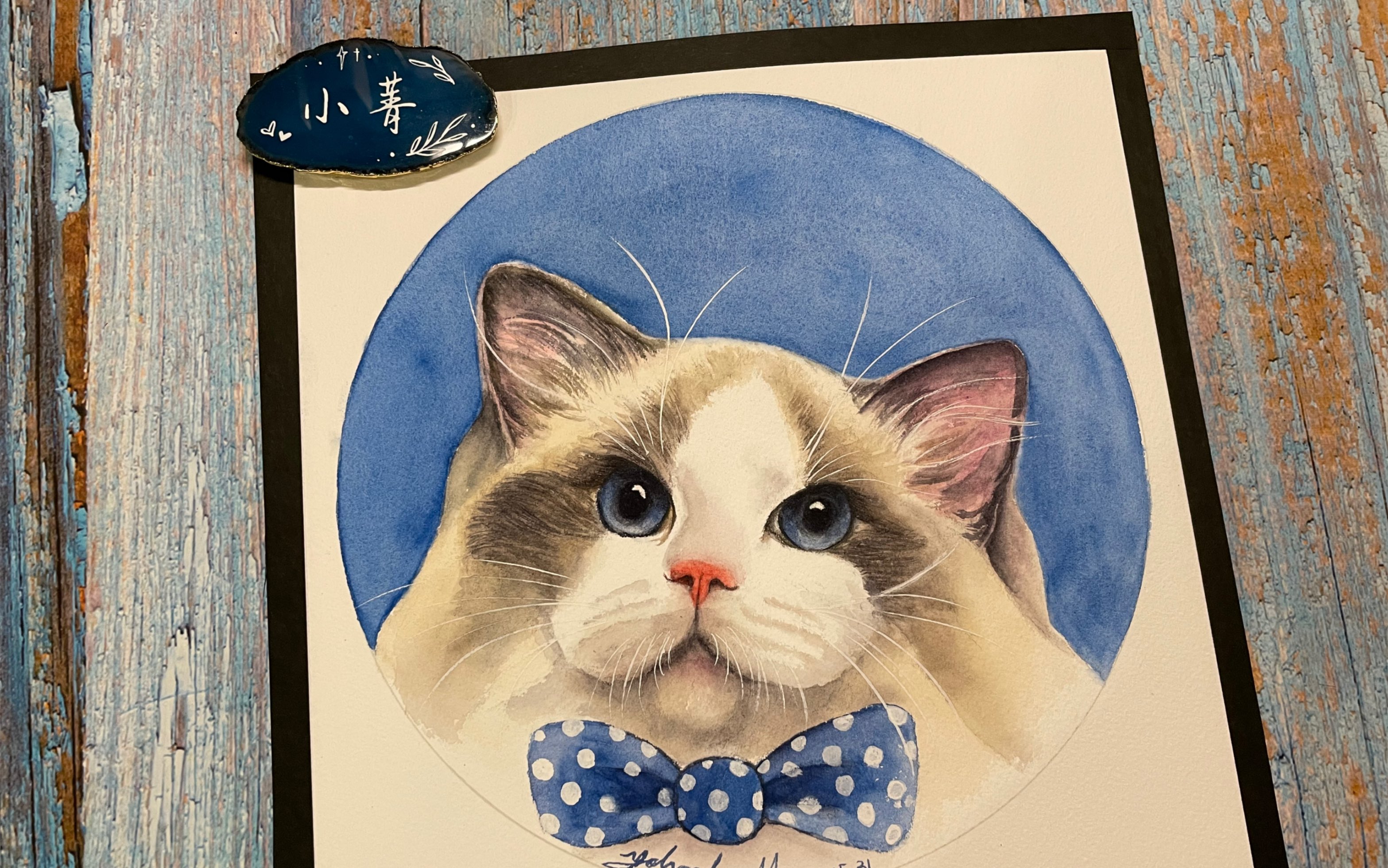 布偶猫壁纸卡通图片