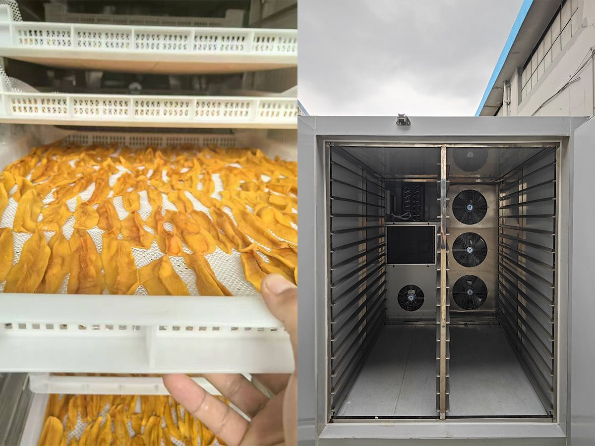 一次烘干两三百斤芒果肉的小型空气能烘干机是怎么样的?