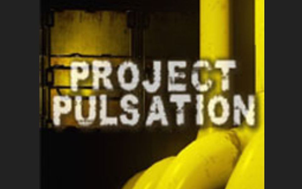 【告辞】【钊糕直播】脉动计划(Project Pulsation)哔哩哔哩bilibili