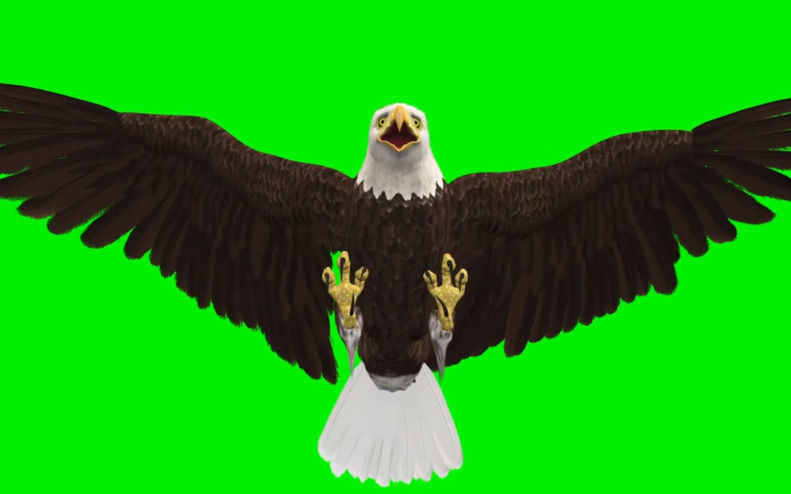 绿幕素材向上飞行的秃鹰老鹰无水印