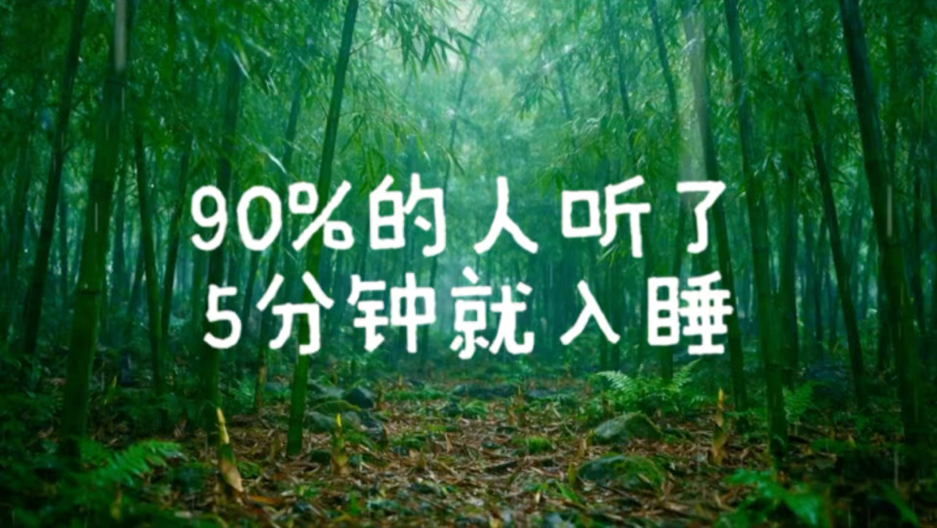 世界公认最佳放松雨声，树林自然雨声，睡眠音乐，白噪音，PTSD，雷暴，睡眠，下雨，雨天，林间雨声，学习，工作，冥想，失眠，催眠，生活记录，雨声入睡助眠，深度睡眠