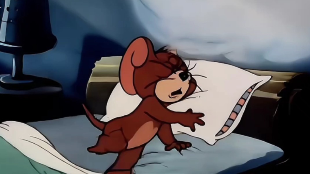 杰瑞真努力,半夜了还在坚持跑步9369♂15