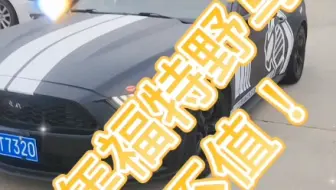 福特野马跑车