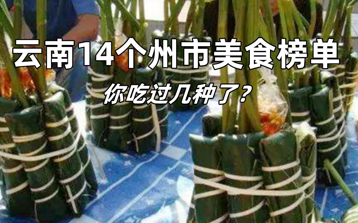 云南14个州市经典美食榜单,你吃过几种了?哔哩哔哩bilibili