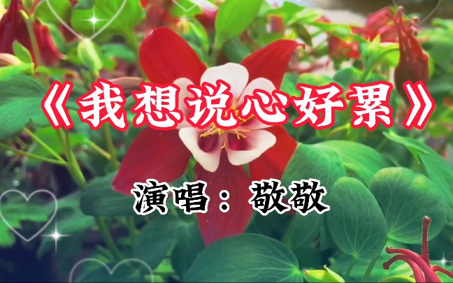 一首《我想说心好累》歌声伤感动听,唱出了多少人的心声哔哩哔哩bilibili