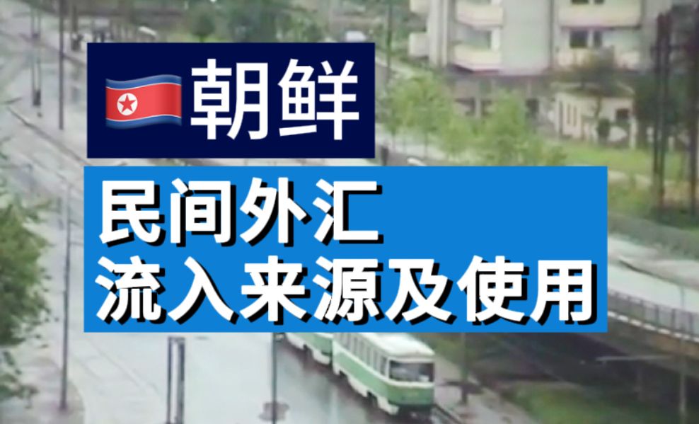 朝鲜全民使用外汇?朝鲜民间外汇哪里来?哔哩哔哩bilibili