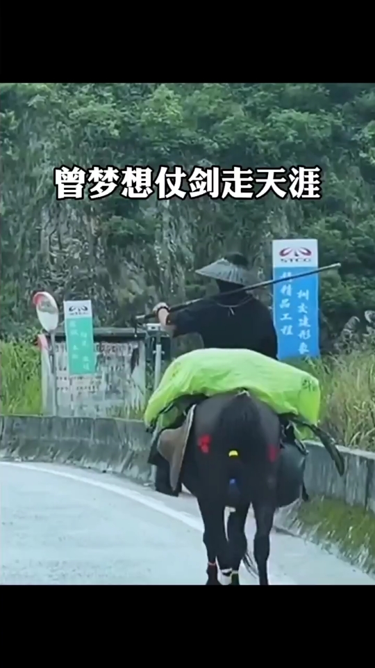 曾梦想仗剑走天涯