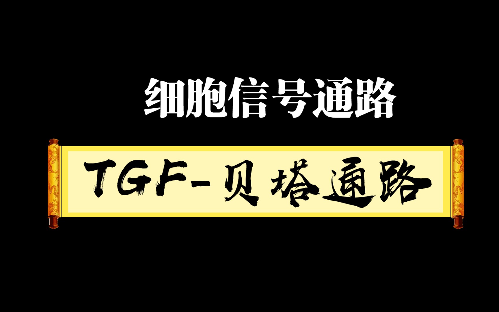 细胞信号通路系列2一TGF贝塔信号通路哔哩哔哩bilibili