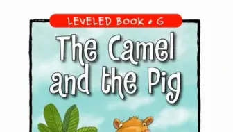 「不用词汇书背单词」Episode 672：The Camel and the Pig