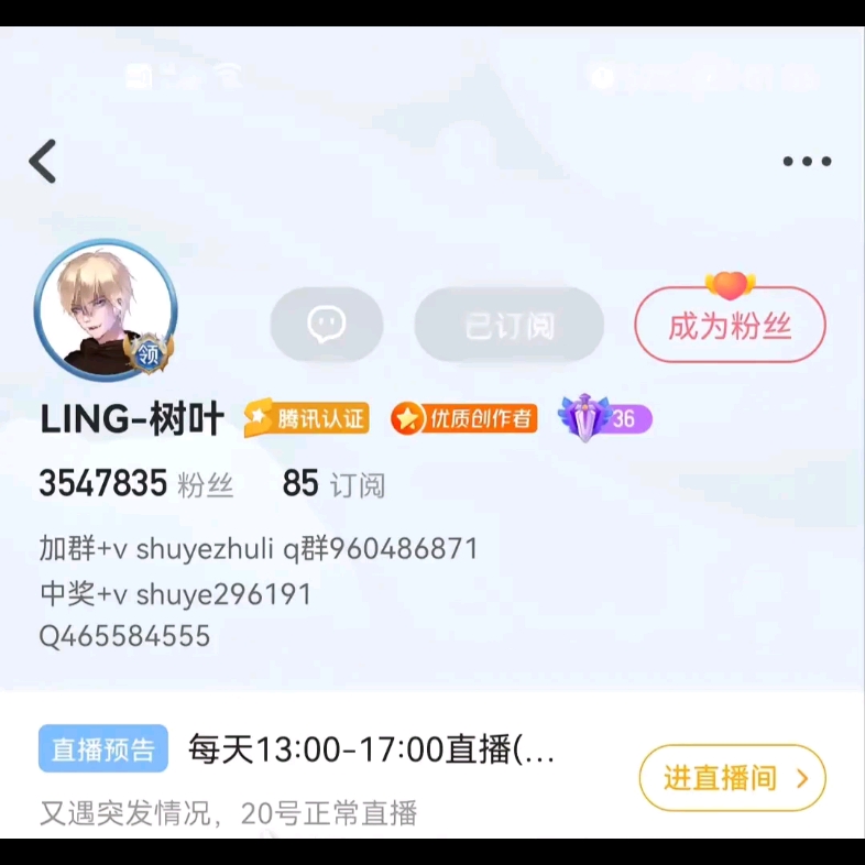 树叶停播两天,跑到福建干啥去了哔哩哔哩bilibili