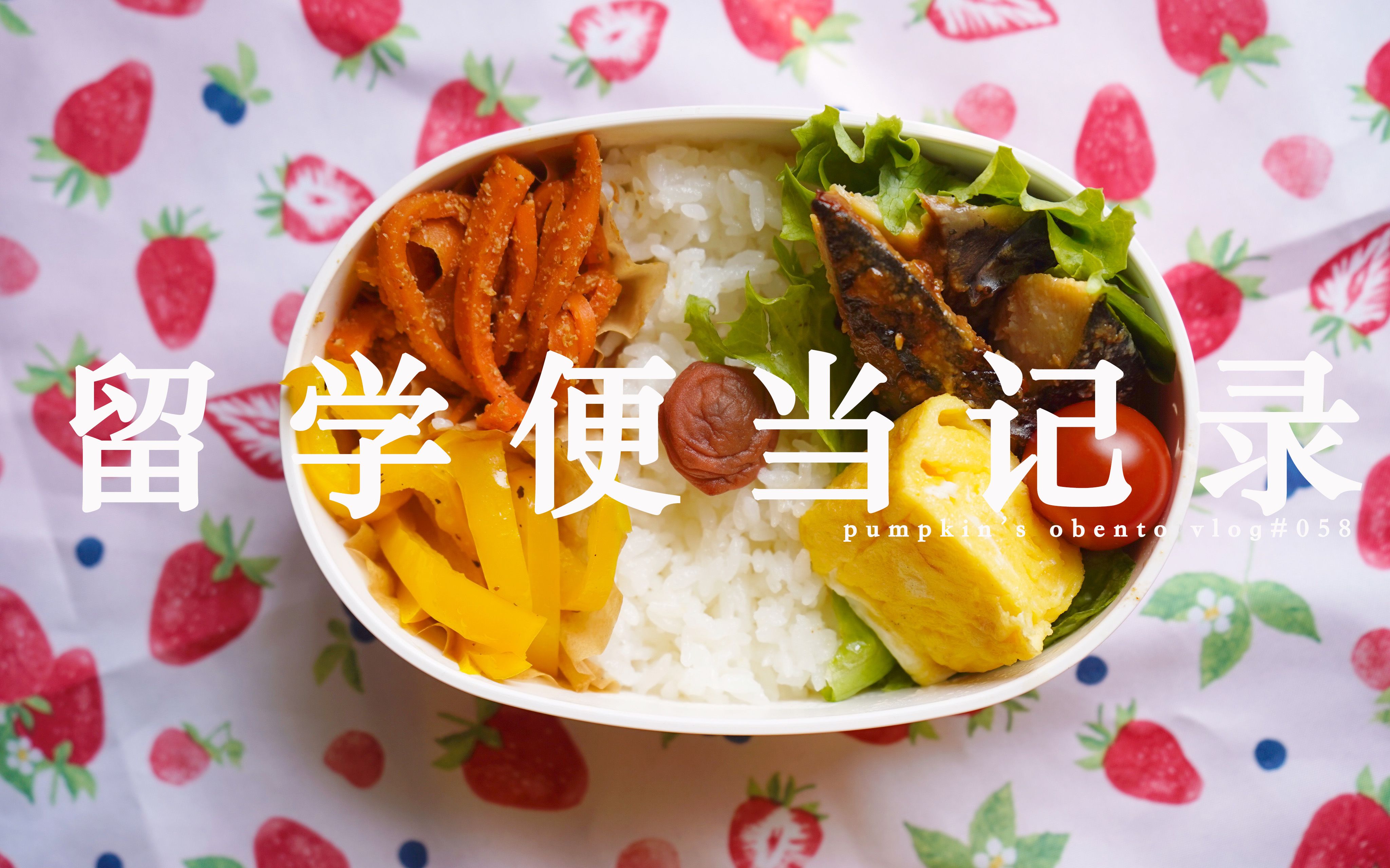 【宅家也要做便当】同样的常备菜不同的装盒/小型便当吃播/玉子烧/日式便当>>pumpkin's vlog #058>>_哔哩哔哩_bilibili