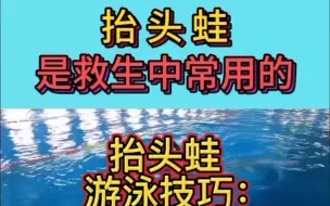 Download Video: 抬头蛙的游泳技巧！