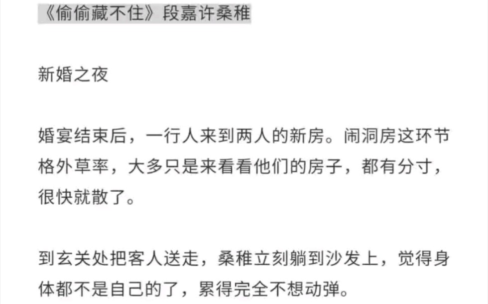 小说《偷偷藏不住》番外 文字