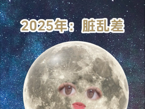 2025年的关键词:脏乱差哔哩哔哩bilibili