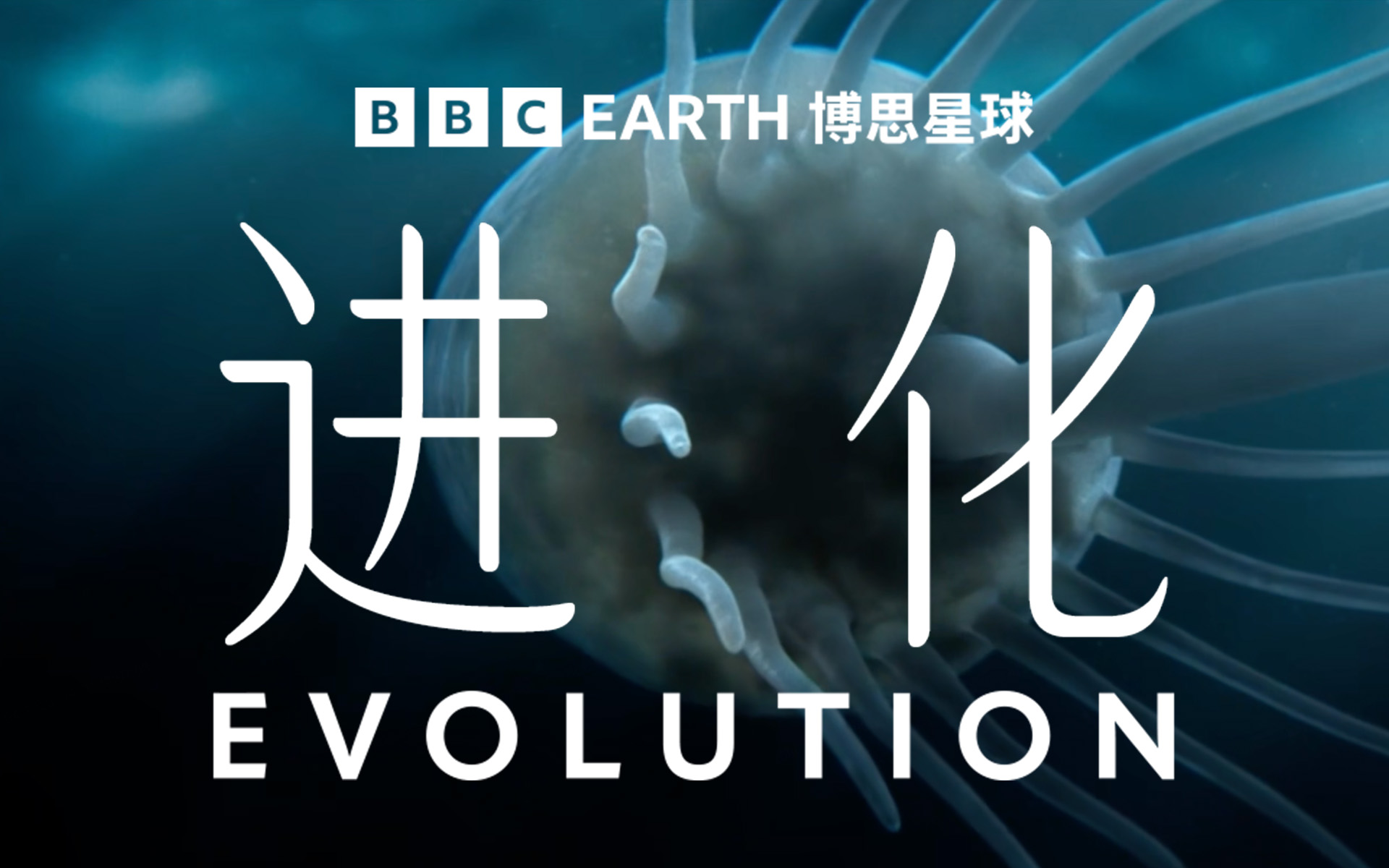 《进化》第1集 从单细胞到大象