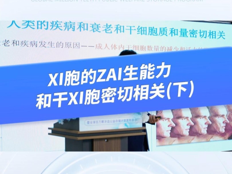 新北辰集团首席科学家叶青松教授:细胞的再生能力和干细胞密切相关(下)哔哩哔哩bilibili