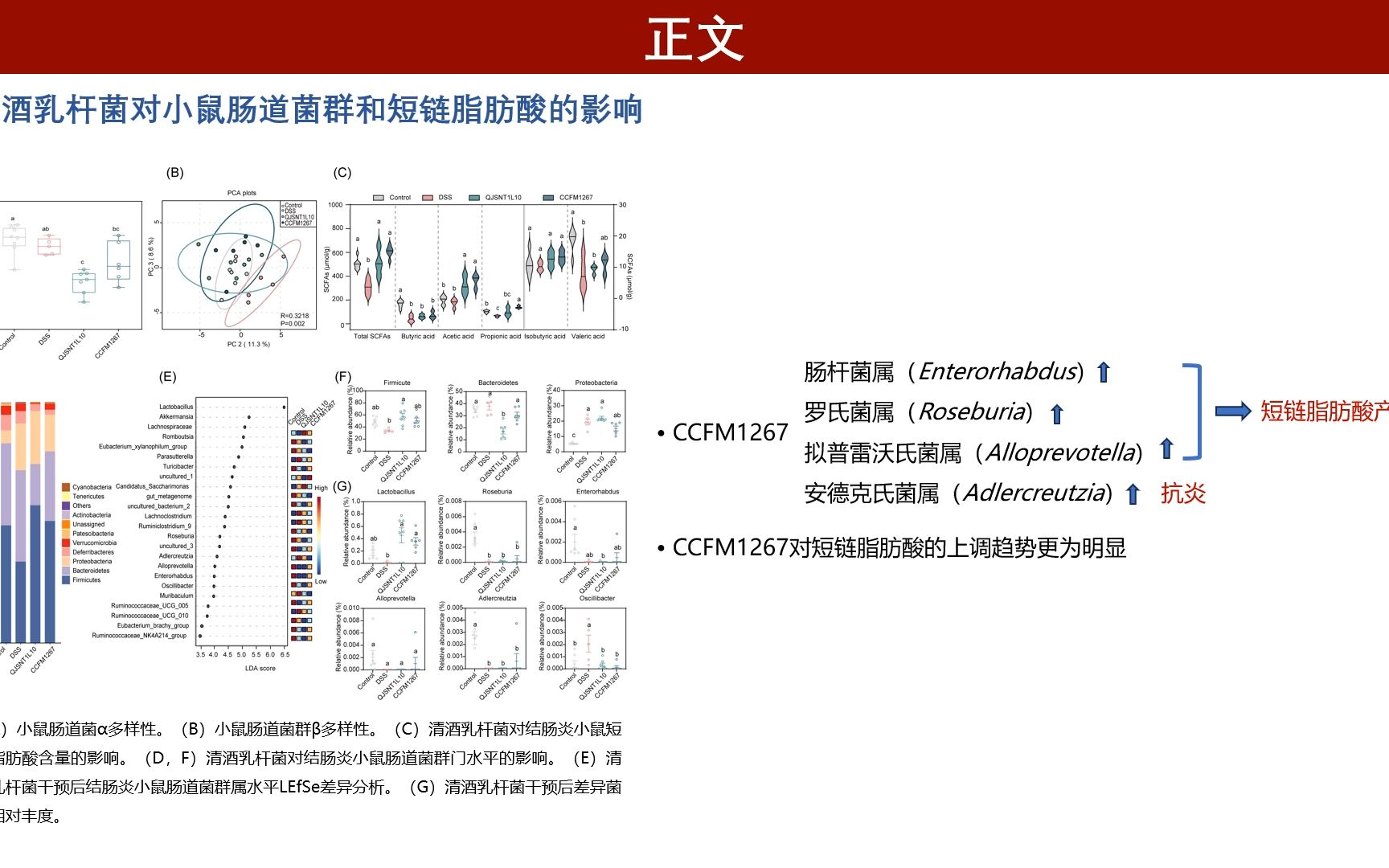 iMeta | 江南大学陈卫课题组探究清酒乳杆菌对炎症性肠病的种间差异机制哔哩哔哩bilibili