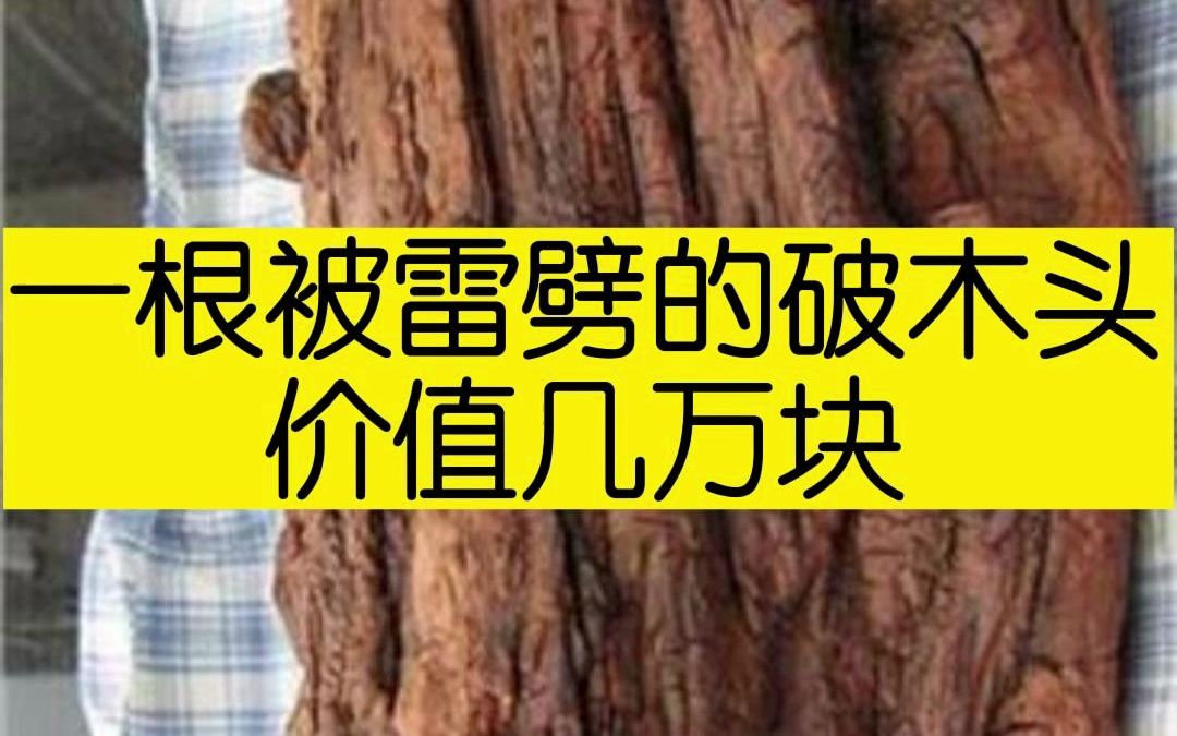 天然的雷击枣木非常名贵,它什么作用有人知道吗?哔哩哔哩bilibili