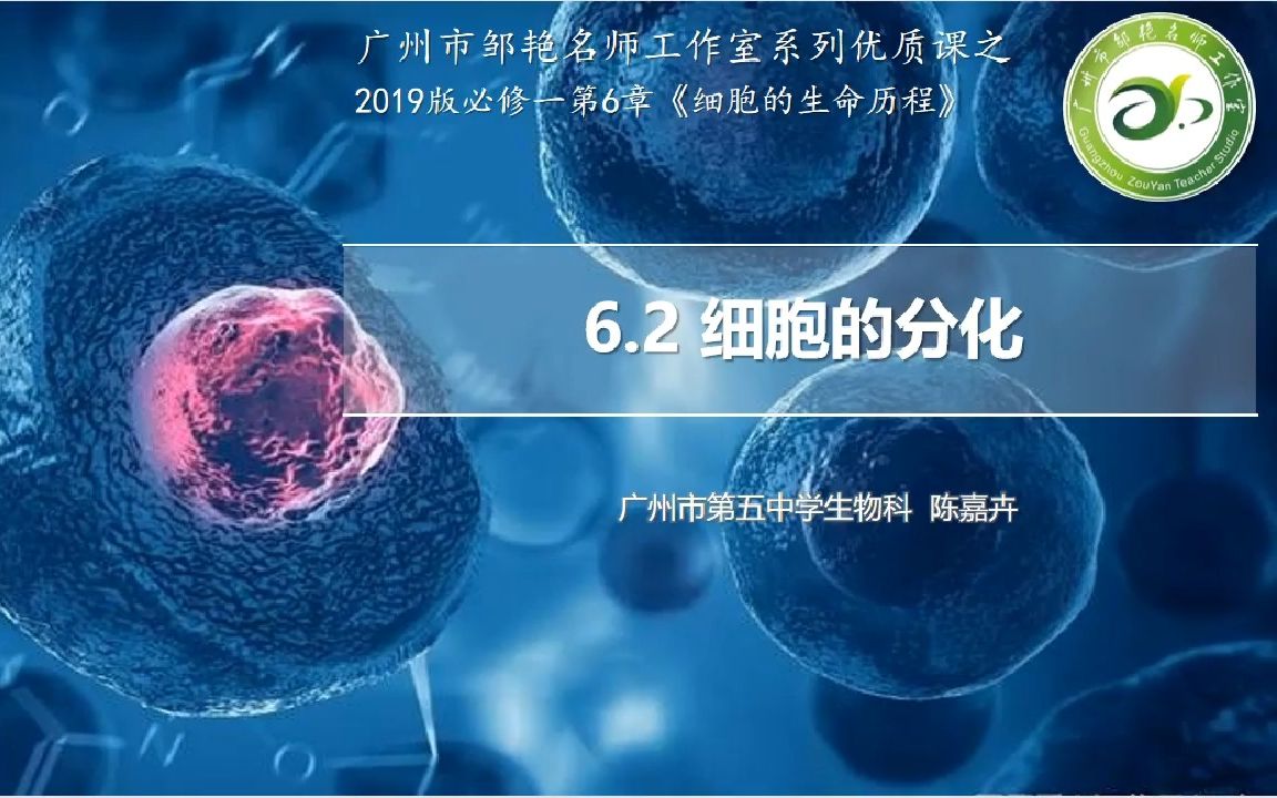 [图]人教版生物必修一 6.2 细胞的分化公开课（陈嘉卉）