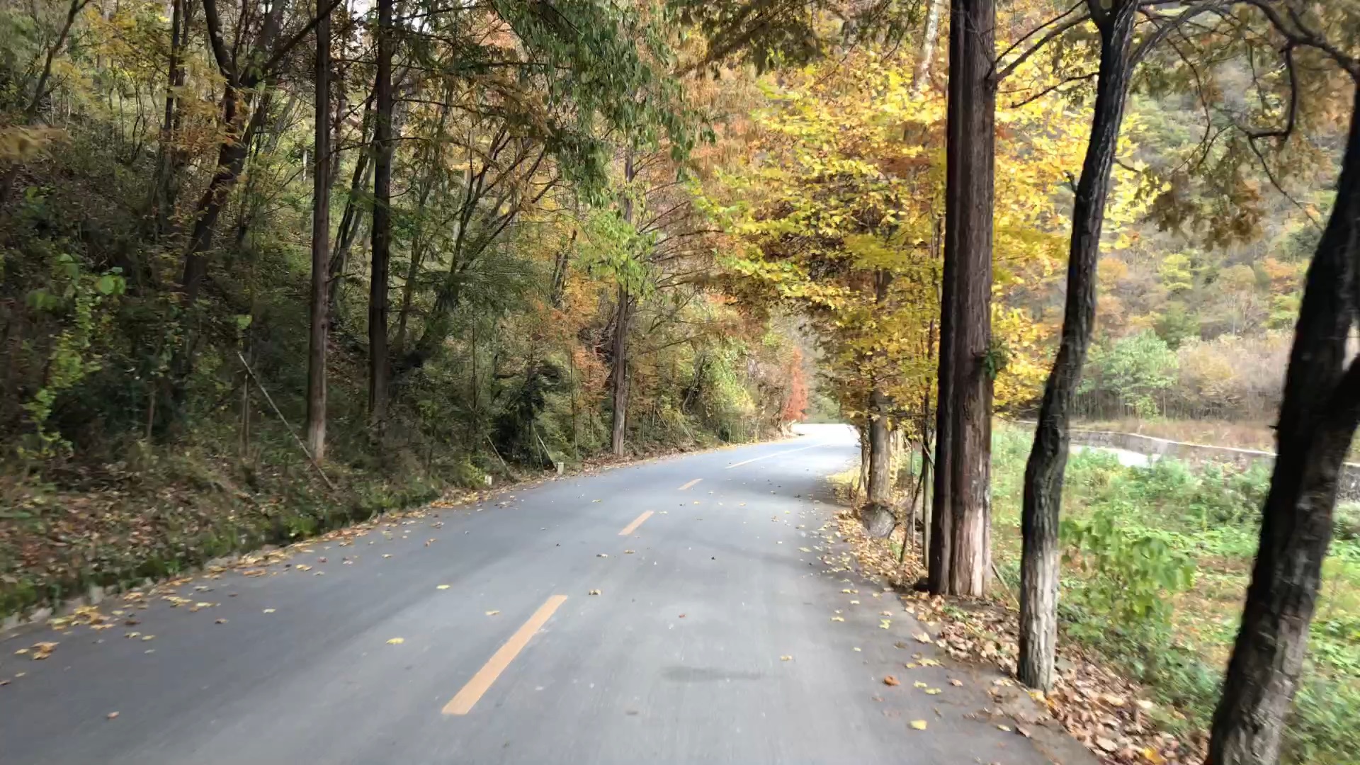 [图]留坝高江路中国最美乡村公路