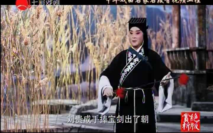 绝版赏析:淮剧陈德林(4集)哔哩哔哩bilibili