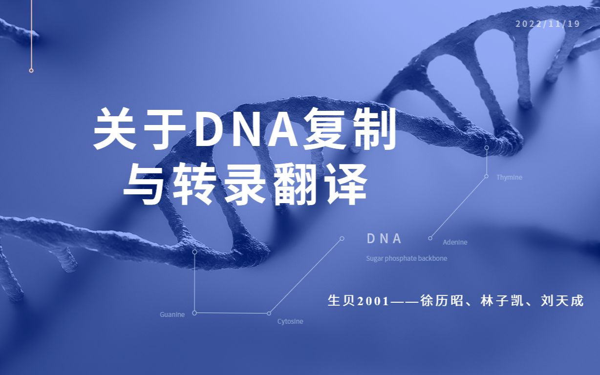 关于DNA的复制与转录翻译哔哩哔哩bilibili