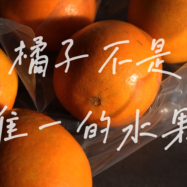 学生作品《橘子不是唯一的水果》_哔哩哔哩_bilibili