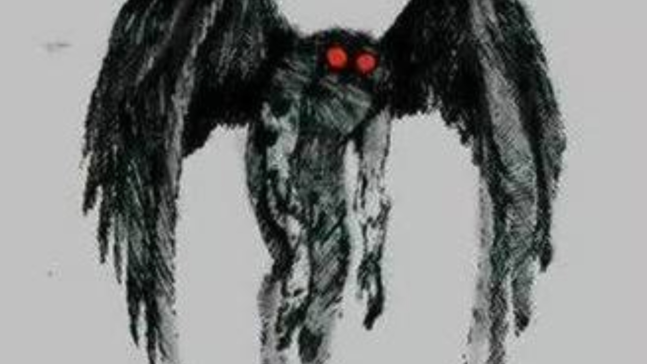 怪物追踪:天蛾人.身高5至7米.翼展10到15.体重250公斤