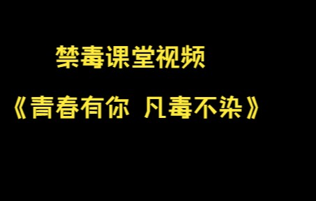 禁毒课堂视频 《青春有你 凡毒不染》哔哩哔哩bilibili