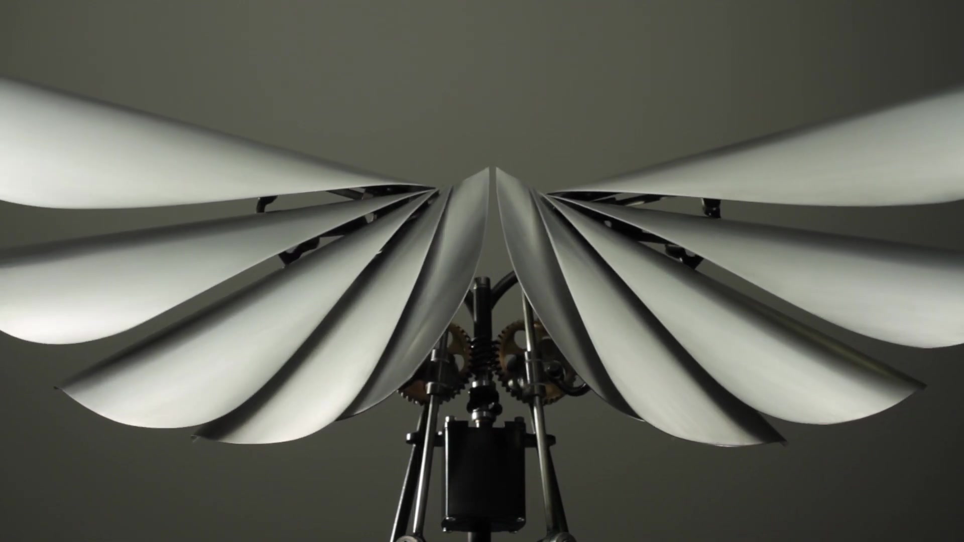 机械翅膀第八部endeavorscrest欢迎分享欢迎白嫖