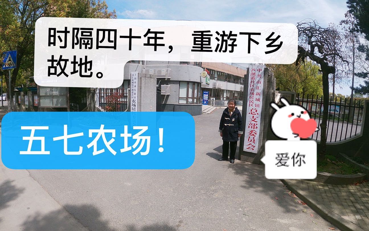 清明踏青故地重游现芦潮港原五七农场