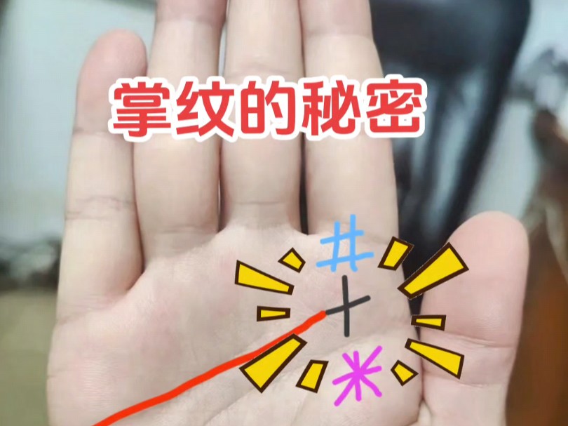 掌纹的秘密:知识型女性手掌特征.哔哩哔哩bilibili