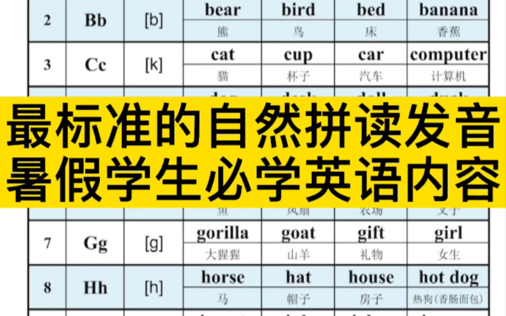 暑假少幼儿小学生中学生必学的英语自然拼读哔哩哔哩bilibili