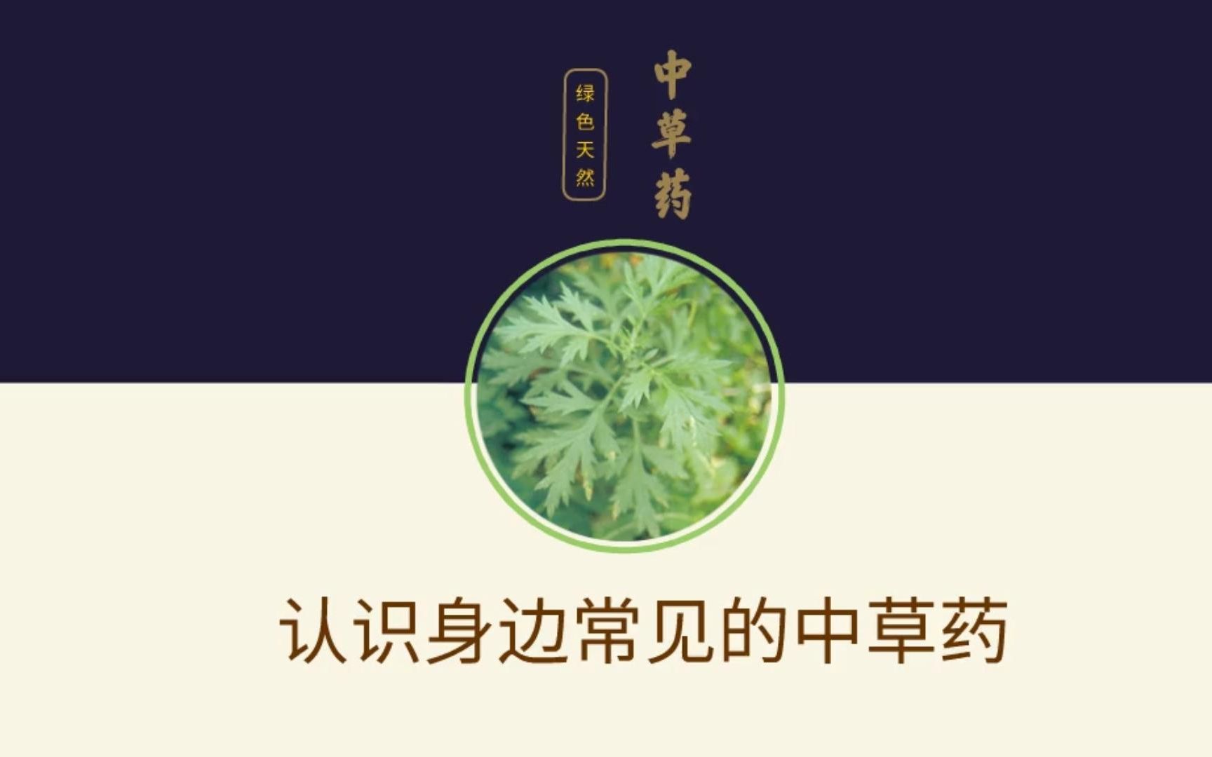 [图]常见的中草药