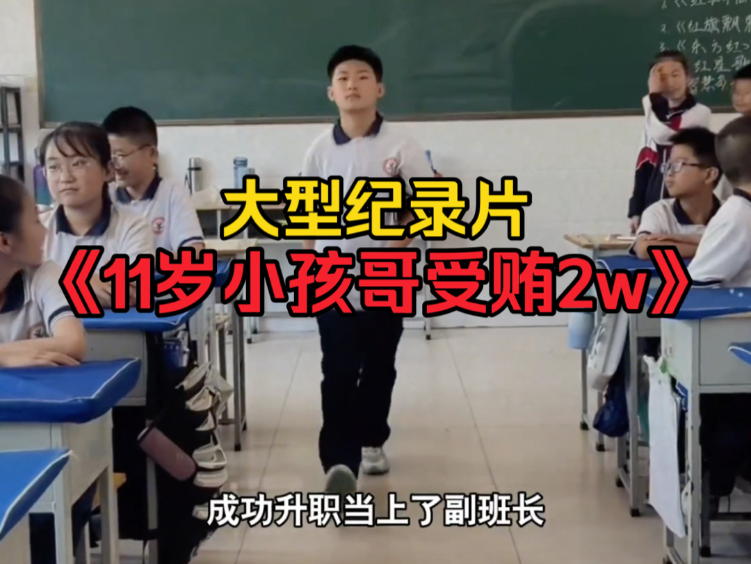 [图]大型纪录片《11岁小孩哥受贿2w》