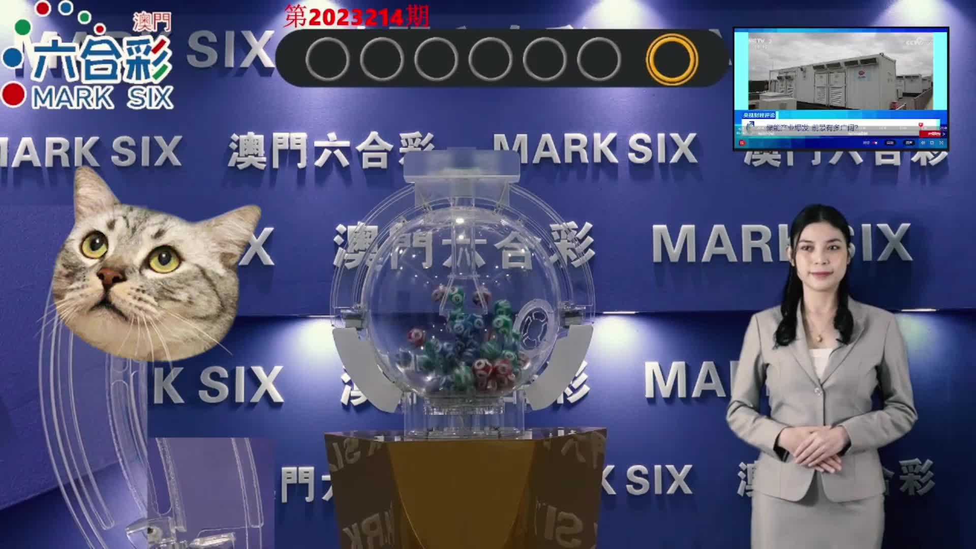 深度丨正澳门赌牌七选六,谁出局? - 正文