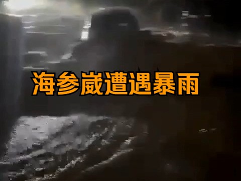 【俄罗斯卫星通讯社】海参崴周一降雨量超过60毫米哔哩哔哩bilibili