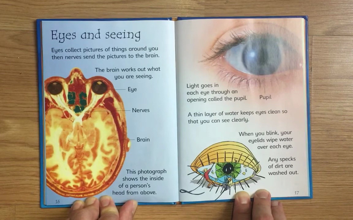 [图]Your Body Usborne Beginners