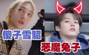 Download Video: 【StrayKids | 旻辰】抖s恶魔兔子李旻浩跟欠揍的傻子雪貂黄铉辰的故事「自制中字」