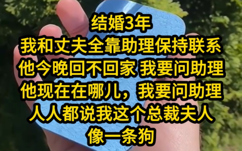 [图]《夏木晚晴》中--结婚3年，我和丈夫全靠助理保持联系，他今晚回不回家 我要问助理，他现在在哪儿，我要问助理，人人都说我这个总裁夫人像一条狗。