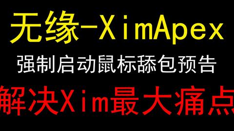 xim apex 半年間使用 その他 テレビゲーム 本・音楽・ゲーム 国内正規販売店
