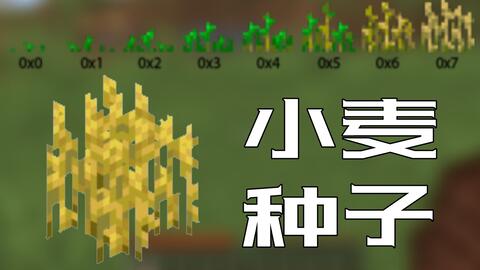 小麦种子 Minecraft Wiki 最详细的官方我的世界百科