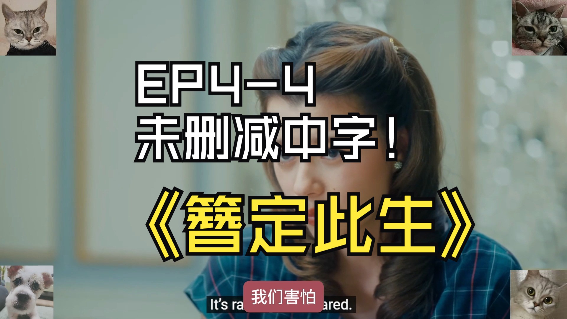 簪定此生未删减中字EP44小老外终于得逞了哔哩哔哩bilibili