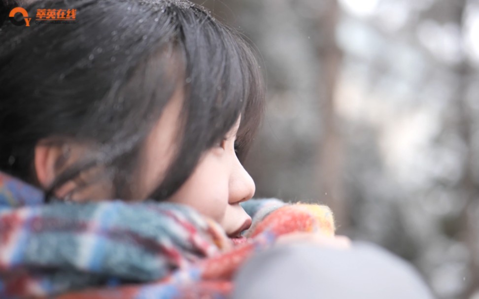 [图]【兰大春雪】未若柳絮因风起