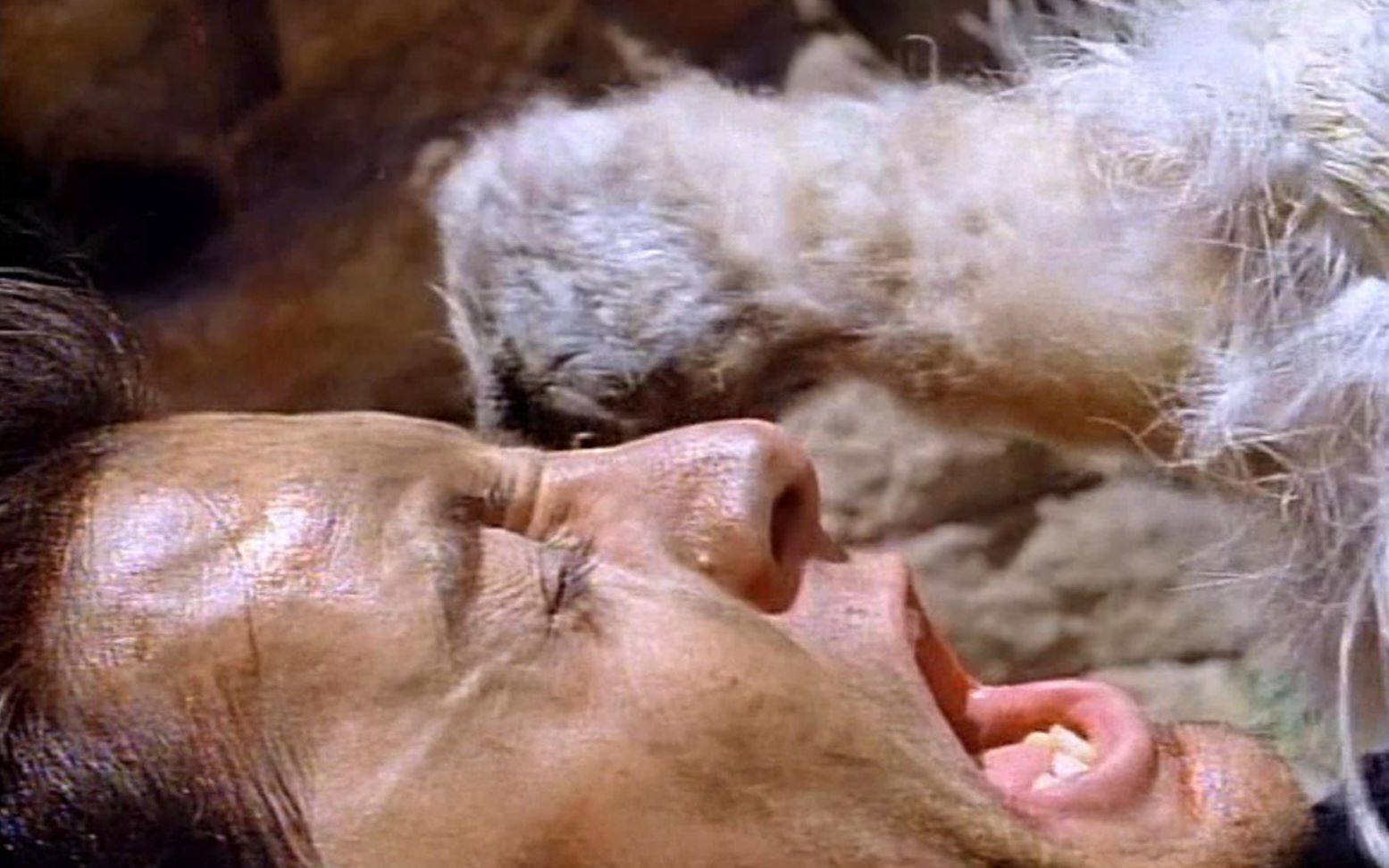 桃乐丝逃过死刑的我没想到死得更惨了魔界奇谭第三季第3集