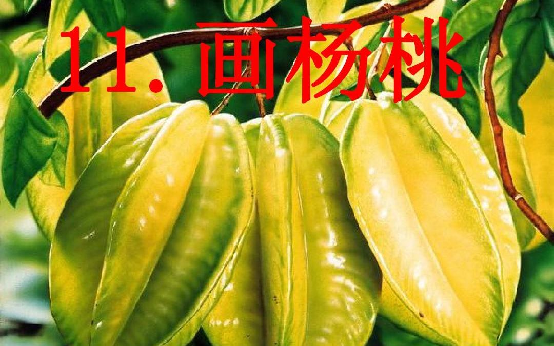 二下:《画杨桃》(含课件教案) 名师优质课 公开课 教学实录 小学语文