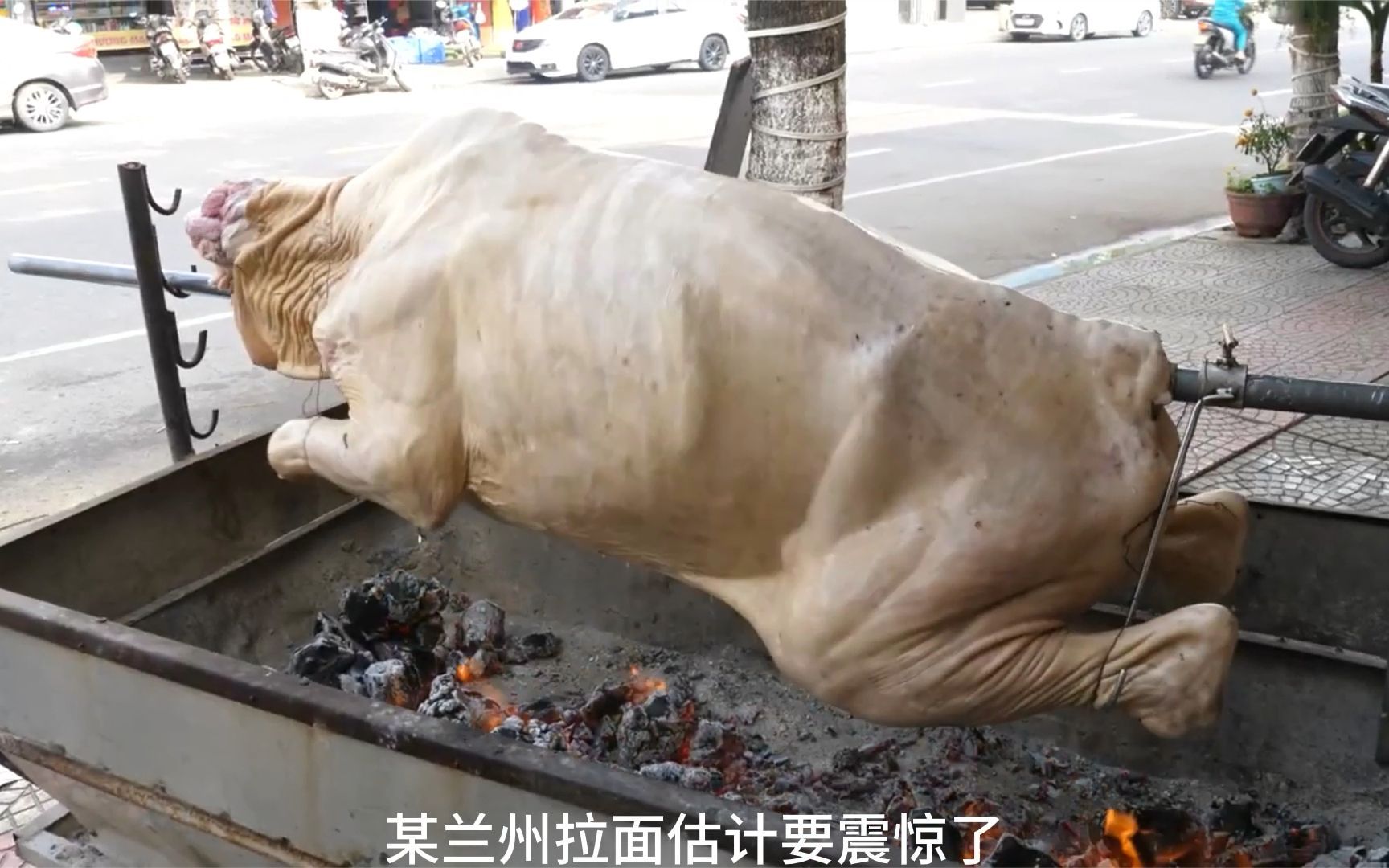 [图]牛肉面馆烤一头牛的你们见过吗？真的是开眼界了，几天就烤一头