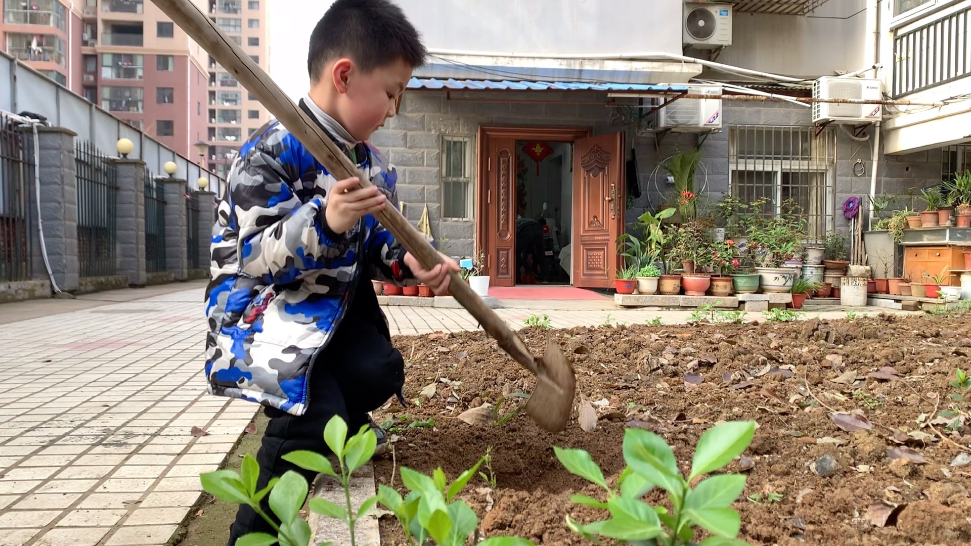 武汉去逛花鸟市场哔哩哔哩bilibili