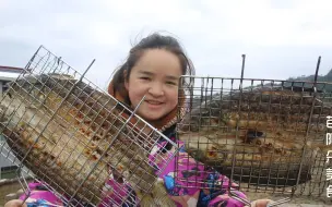 苗大姐自制烤鱼，帅男靓女吃到只剩骨头了，味道好得不得了